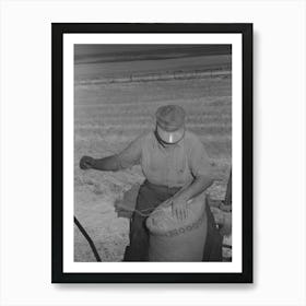 Walla Walla County, Washington,Wheat Farmer Sewing Up The Bemis Bags Of Wheat By Russell Lee Art Print