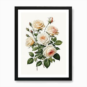 Vintage Galleria Style Rose Art Painting 23 Art Print