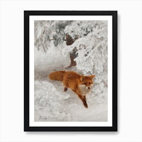 Painting Fox In The Snow Affiche