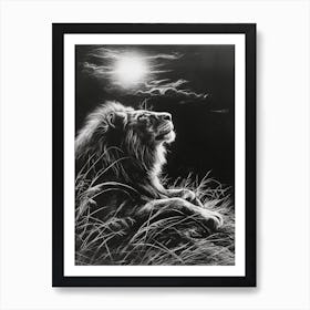 African Lion Charcoal Drawing Resting In The Sun 4 Art Print