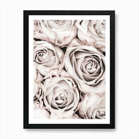 Pink Roses Vintage_2066825 Art Print