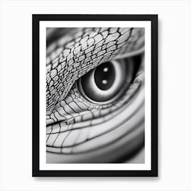 Close Up Of Black and White Lizard's Eye Art Print