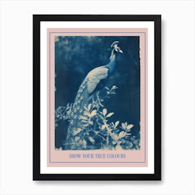 Cyanotype Inspired Peacock In The Leaves 1 Poster Poster