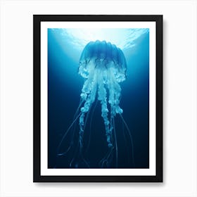 Box Jellyfish Ocean Realistic 4 Art Print