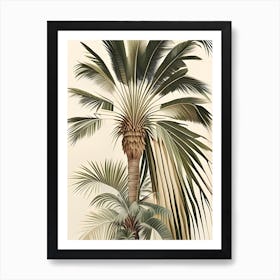 Palmfeathers Art Print