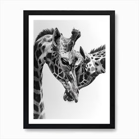 Pencil Portrait Of Two Giraffes 2 Poster