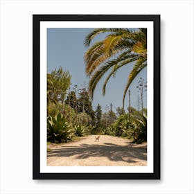 Lisbon Botanical Chicken Crossing Palm Portugal Art Print