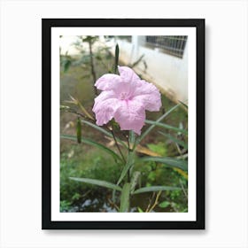 Pink Flower Affiche