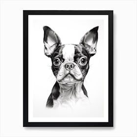 Boston Terrier Dog, Line Drawing 4 Art Print