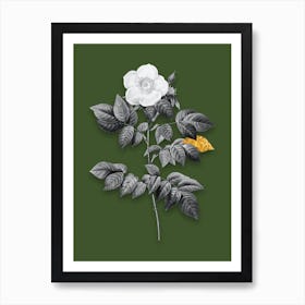 Vintage Leschenaults Rose Black and White Gold Leaf Floral Art on Olive Green n.1199 Art Print