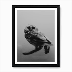 The Curious Owl Art Print