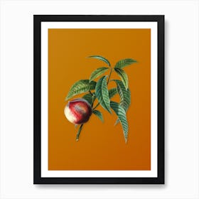 Vintage Peach Botanical on Sunset Orange n.0615 Art Print