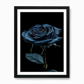 Dark Rose 83 Art Print