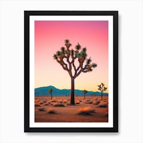 Joshua Tree At Dawn In The Desert In South Western Style  (2) Art Print