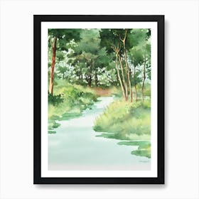 Salonga National Park The Democratic Republic Of The Congo Water Colour Poster Art Print