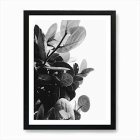 Black And White Leaves 4 Art Print