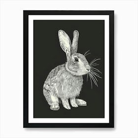 Californian Rabbit Minimalist Illustration 1 Art Print