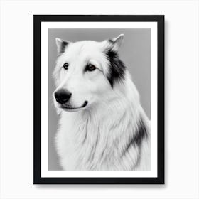 Icelandic Sheepdog B&W Pencil Dog Art Print