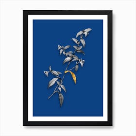 Vintage Birdbill Dayflower Black and White Gold Leaf Floral Art on Midnight Blue n.0553 Art Print