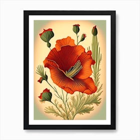 Desert Poppy Wildflower Vintage Botanical 1 Art Print