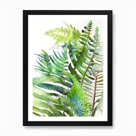 Bracken Fern Wildflower Watercolour Art Print