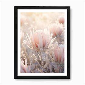 Frosty Botanical Protea 1 Art Print