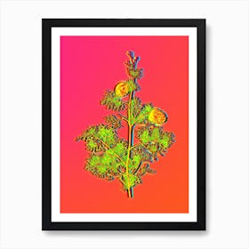 Neon Mediterranean Cypress Botanical in Hot Pink and Electric Blue n.0483 Art Print