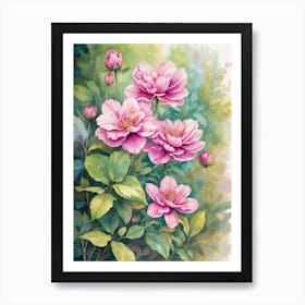 Pink Peonies 1 Art Print