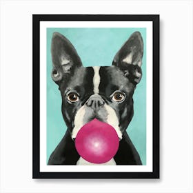 Boston Terrier With Bubblegum Art Print