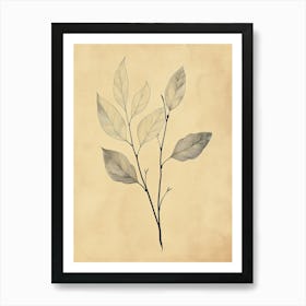 Leaf Branch Boho Minimalist Style Art Print