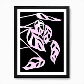 Monstera Obliqua In Black And Pink Art Print