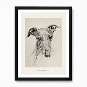 Greyhound Line Sketch 1 Poster Art Print