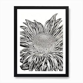 Red Waratah Anemone Linocut Art Print