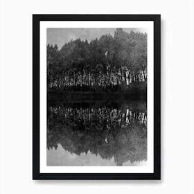 Tree Reflection Art Print