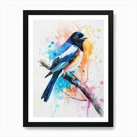 Magpie Colourful Watercolour 1 Art Print