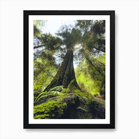 Tree In The Forest Art Print