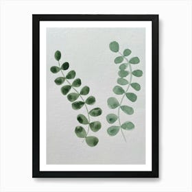 Eucalyptus Leaves Art Print