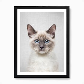 Cat   Art Print