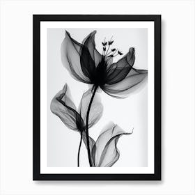 Black White Image Flower With Wh Art Print