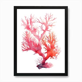 Red Coral Isolated On White Background Art Print