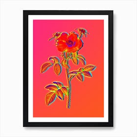 Neon Stapelia Rose Bloom Botanical in Hot Pink and Electric Blue n.0117 Art Print
