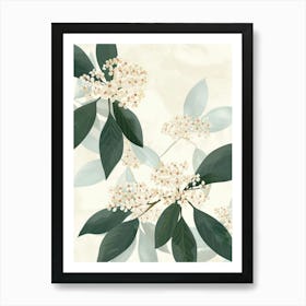 Elderberries Close Up Illustration 1 Art Print