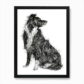 Border Collie Dog Line Sketch 3 Art Print