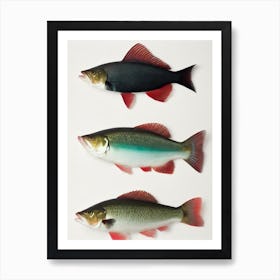 Cod Fish Vintage Poster Art Print