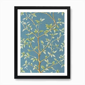 Paper Mulberry tree Vintage Botanical Art Print