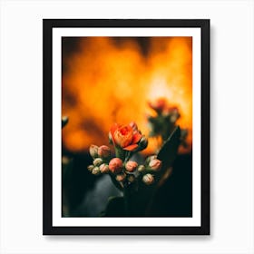 Poster Flower Art Print 20 Art Print