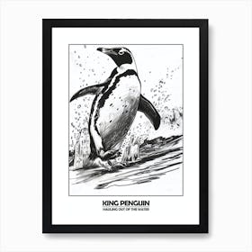 Penguin Hauling Out Of The Water Poster 8 Art Print