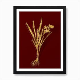 Vintage Gladiolus Xanthospilus Botanical in Gold on Red Art Print