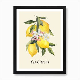 Simple Lemon Wall Art, Kitchen Poster Art Print