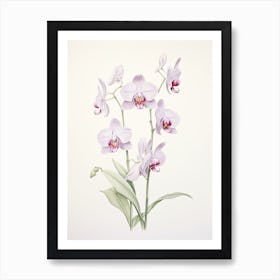 Orchids Flower Vintage Botanical 0 Art Print